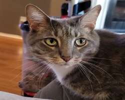He is a cat lover and often features cats on his Instagram.